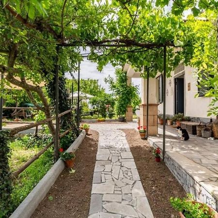 Etna, Salvia E Rosmarino Villa Maletto Bagian luar foto