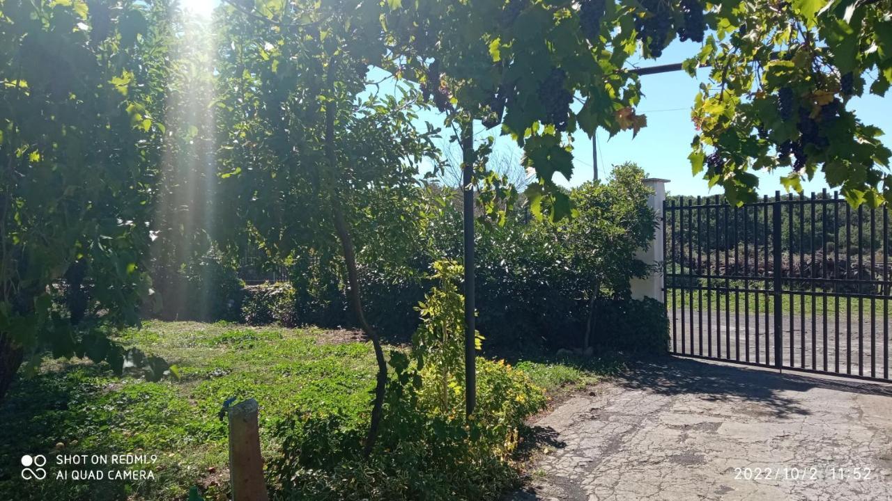 Etna, Salvia E Rosmarino Villa Maletto Bagian luar foto