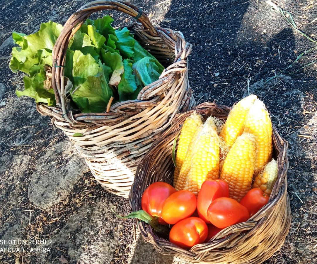 Etna, Salvia E Rosmarino Villa Maletto Bagian luar foto