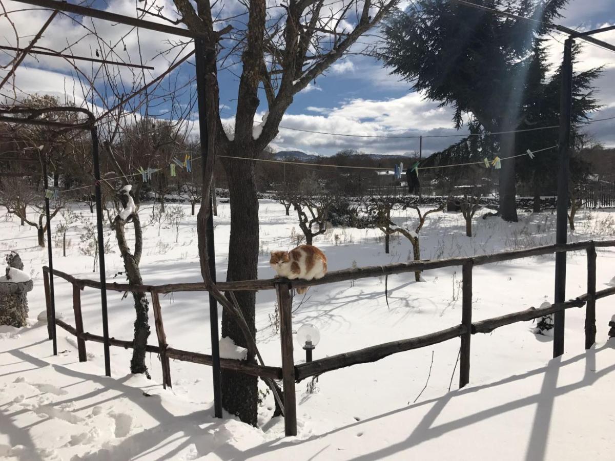 Etna, Salvia E Rosmarino Villa Maletto Bagian luar foto